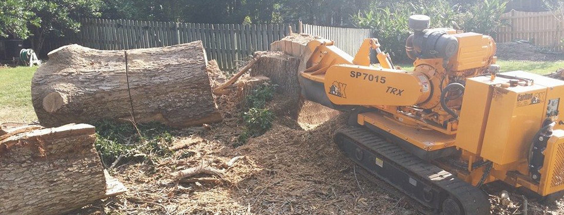 stump removal in progress